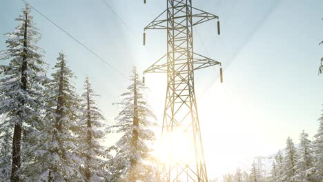 Stromleitung-Bei-Sonnenaufgang